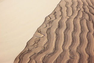 WhatsApp Image 2021-12-06 at 07.45.44.jpeg